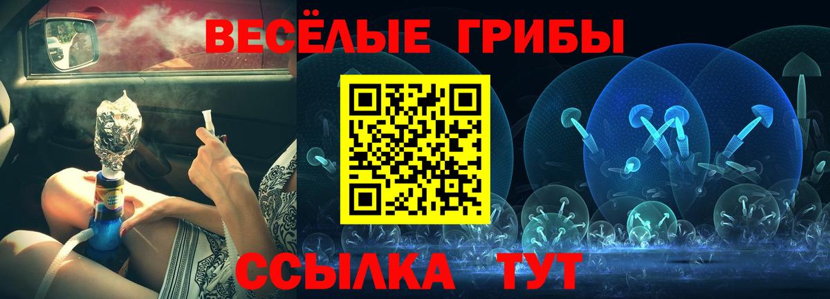 Галлюциногенные грибы Magic Shrooms  Вход с VPN  Псилоцибиновые грибы прущие грибы  Малгобек 